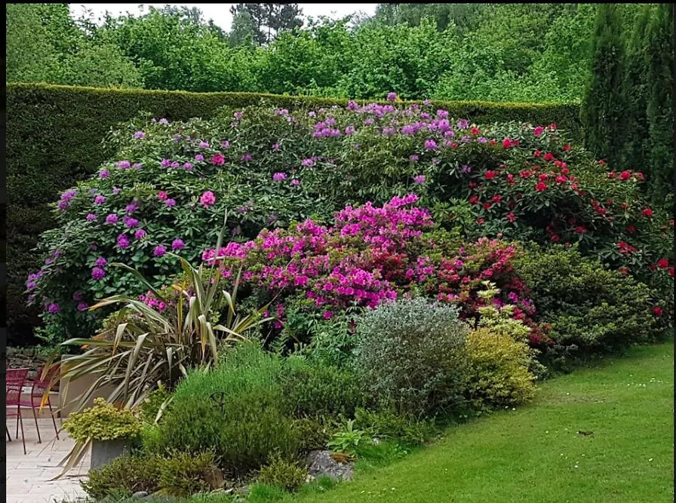 Le Pilori Bed & Breakfast Saint-Jacut-les-Pins